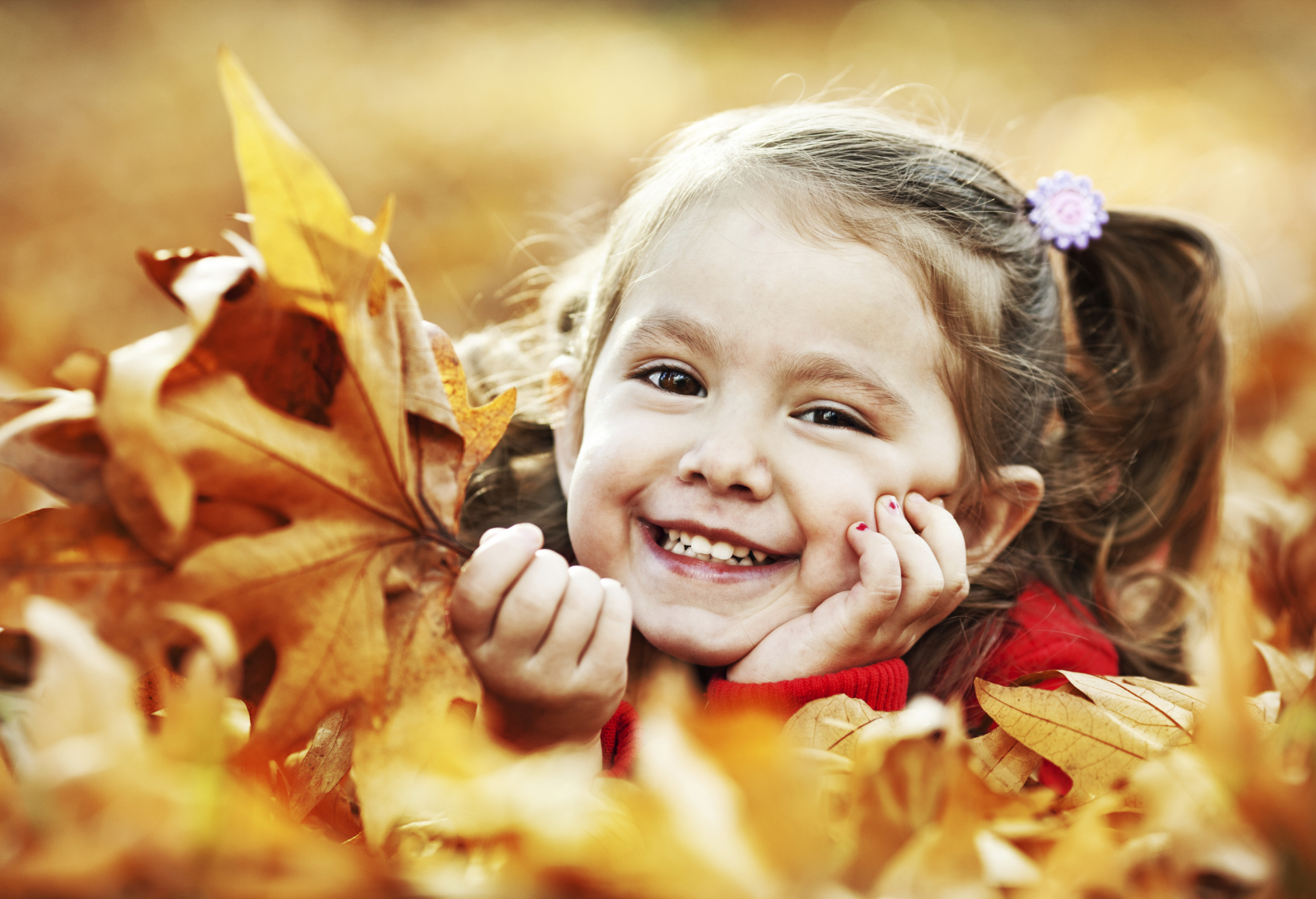 Осенние листья для детей